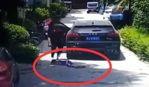 车辆落水悲剧：两女子不幸溺亡，警方通报细节令人深思