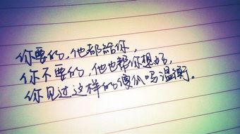 文字的力量：连接心灵的桥梁