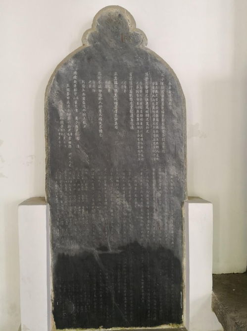 白鹿洞门人身份曝光：隐藏在历史背后的真相