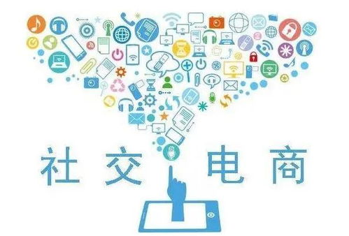 社交电商平台的社会价值：从用户到社会的双赢