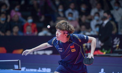 王楚钦世界杯开门红！4-0横扫对手，展现王者风范