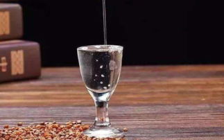 别瞎选！泡酒最佳白酒品牌揭秘，选不对小心适得其反！