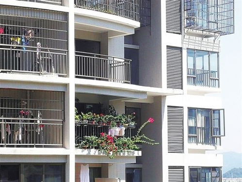 高空抛物隐患：小区住户将花盆放在窗户外的后果