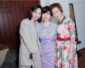 叶童被粉丝拽下车事件背后：一次明星与粉丝关系的深刻反思