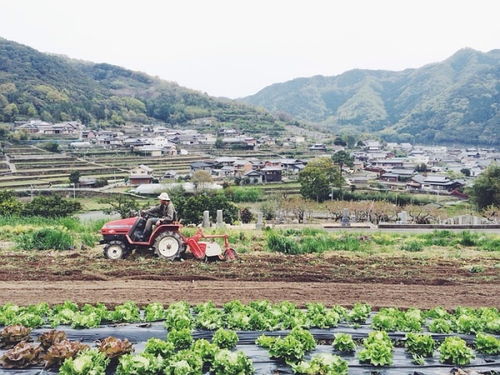 田野上的男女：他们的故事，是乡村振兴的真实写照