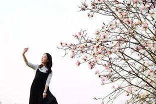 《花间行》：一场穿越千年的文化盛宴