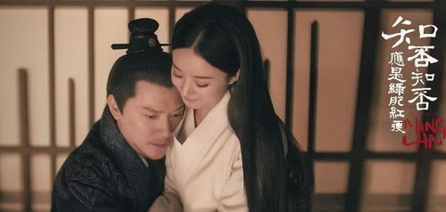 从原著中汲取智慧：如何在快节奏生活中找到阅读的意义