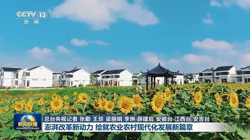 吉林现代农业：乡村振兴的生动实践