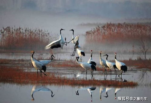 老祖宗留下的二十条看透人性的智慧箴言