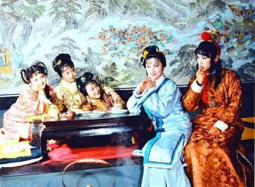 《红楼梦》中贾宝玉为何对芳官唱的《赏花时》如此动容？