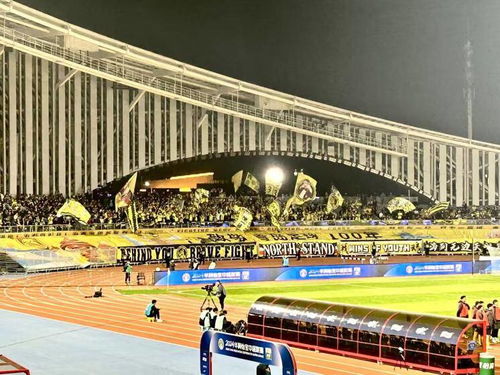 青岛西海岸1:5山东泰山：一场中超焦点战的深度解读