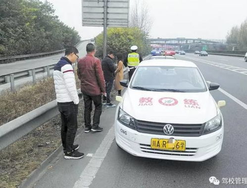 驾校造谣学员把车开上树被约谈：背后真相大揭秘