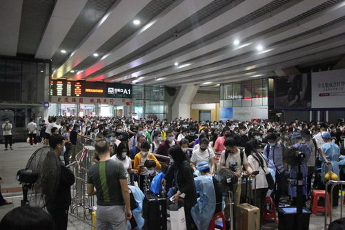 深铁事件背后：虎门站旅客跳下股道的真相与反思