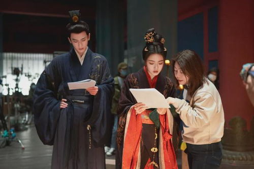 张凌赫与替身走戏：一场娱乐圈的隐秘角落