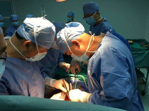 猪肾移植130天后被移除，这场医学实验究竟意味着什么？