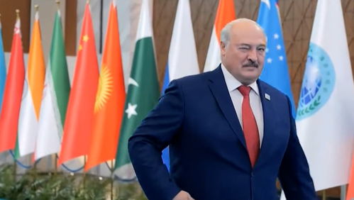 俄乌冲突加剧，特朗普调停无果引发深思