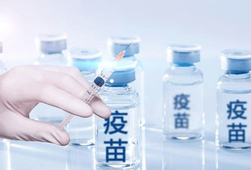 小米芯片平台部：王化回应背后的真相与意义