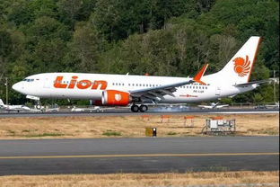 外交部回应暂停接收波音飞机传闻：理性应对国际经贸关系