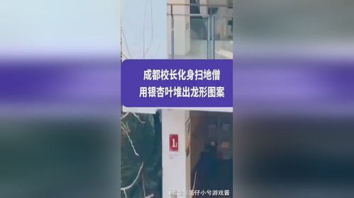 科技的浪漫：抖音如何用创新点燃新时代女性与内容创作者的梦想