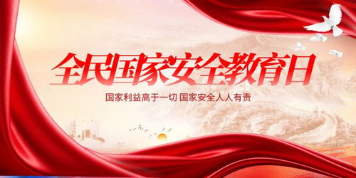 国家安全 你我共筑：从抖音看全民责任