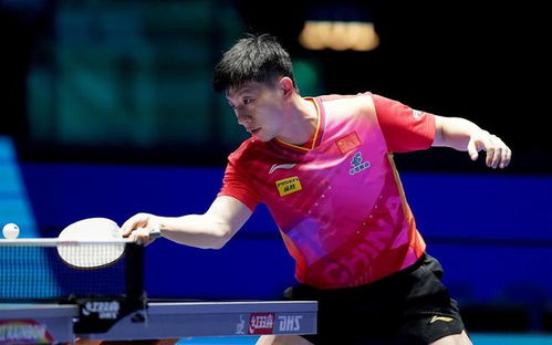 王楚钦vs普卡：年轻小将的巅峰对决