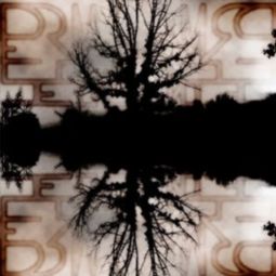 Gillisecond：一个程序员的奇妙冒险