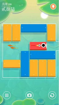 浅塘之梦：一段草稿里的深情故事