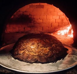 武汉喜堂的周六学习与蒜鸟咖啡的邂逅