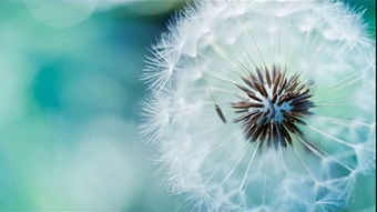 往事如烟｜水中的乐趣（十）