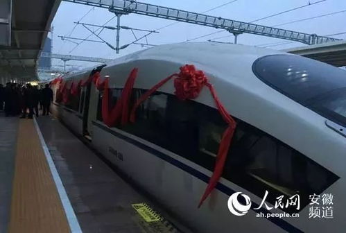 高铁驶入时男子跳向车头不幸身亡：悲剧背后的警示与深思