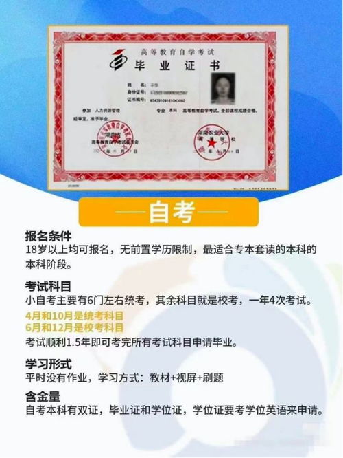 自考冲刺攻略：如何用3天掌握核心考点