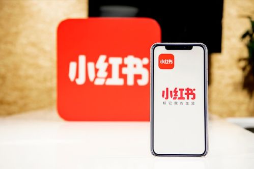 小红书代理商：被低估的生意场，隐藏着巨大商机