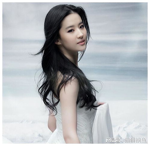 刘亦菲与黄亦玫的玫瑰之约：从荧屏到热搜的奇妙旅程