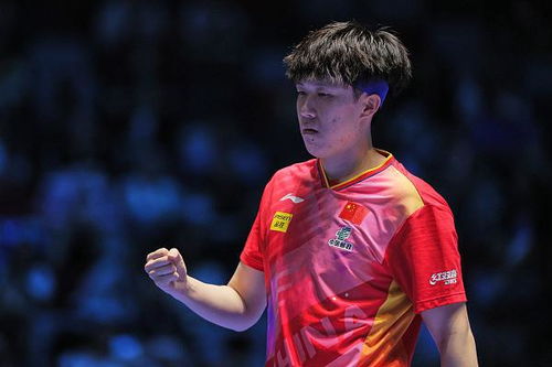 王楚钦澳门世界杯4-0横扫对手，顺利晋级16强！