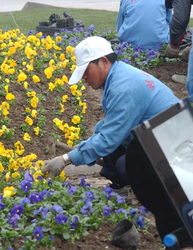 从农民诗人到园艺大师：一个普通人的不平凡人生