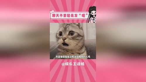 嗯，随了，放了：一次深刻的人生领悟