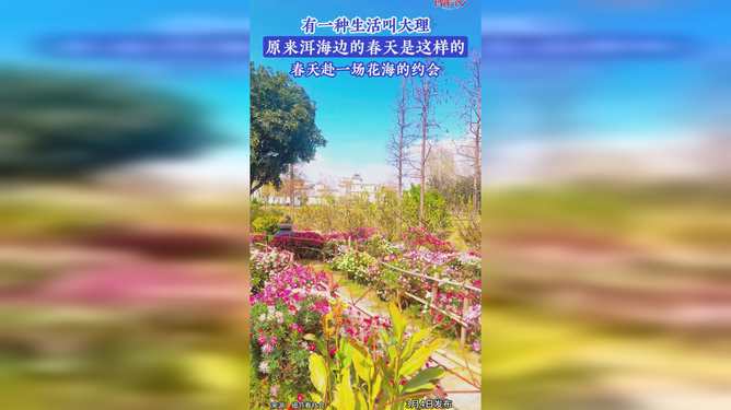 春天赴一场花海的约会