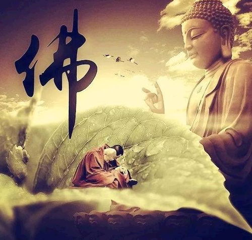 度人先学度己：从自我提升到影响他人