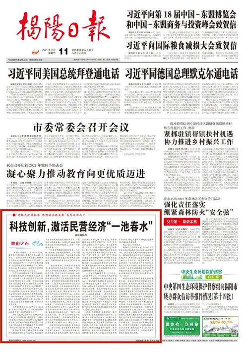 激活乡镇民营经济“一池春水”：从基层看发展新路径