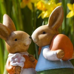 老兔与马驹：在岁月的长河中，她与书共栖