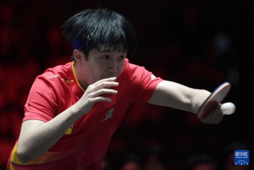 王楚钦晋级八强：从澳门到重庆，他的每一步都铿锵有力