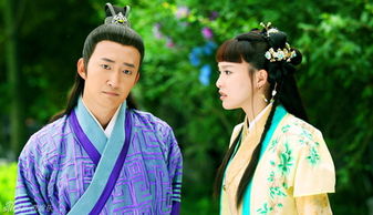 《红楼梦之金玉良缘》：一场关于经典的争议与反思