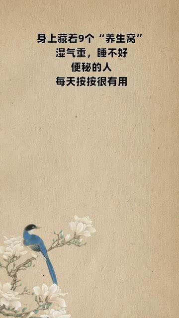 重养自己的第68天：职场情绪管理的艺术