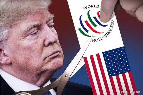 世贸组织总干事回应美国退出传闻：真相如何？