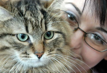 猫鼠世界的奇妙碰撞：一场关于创意与童年的狂欢