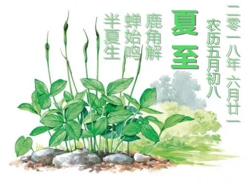 这下不是半夏是全夏了：宋祖儿新剧《无忧渡》掀起微博热议