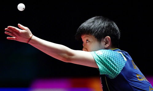 澳门世界杯：孙颖莎晋级四强！4-1淘汰郑怡静，半决赛迎战陈幸同