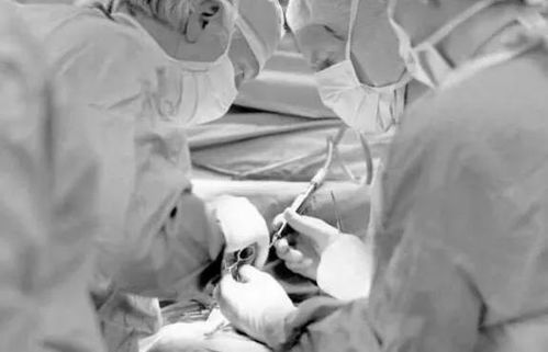 女子术后脑死亡事件：家属称缺氧30分钟未被察觉，医院流程是否存漏洞？