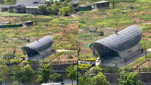 杭州地铁口设计引争议：外形被吐槽像‘棺材’，背后真相如何？