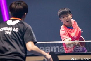 孙颖莎4:1郑怡静，实力与毅力的完美展现